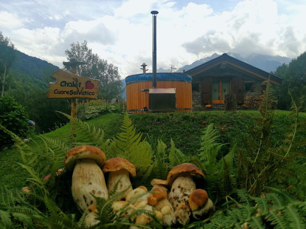 Chalet Cuore Selvatico Monno Экстерьер фото
